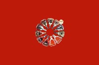 泰安市回收红酒